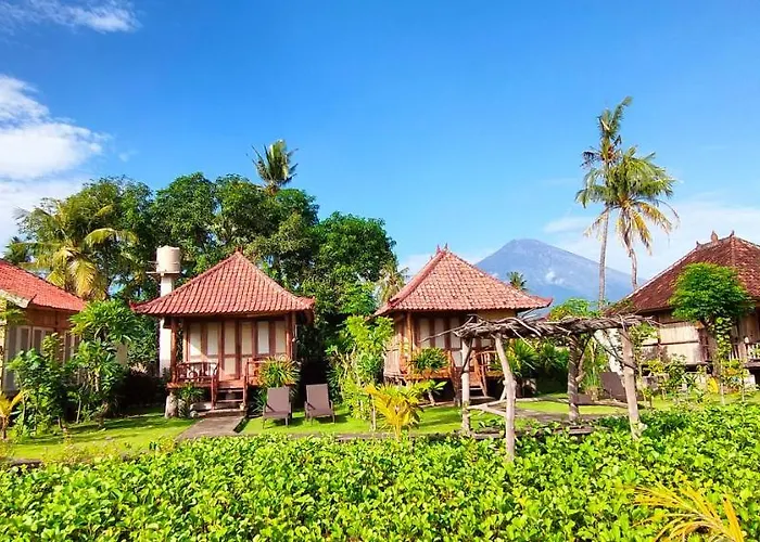 Yogi * Amed (Bali)